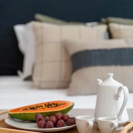 Quintinha Estrelicia - Pool And Garden *