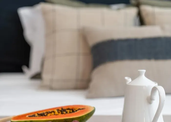 Quintinha Estrelicia - Pool And Garden *